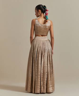 The Beige Zari Blouse With Gathered Skirt 5