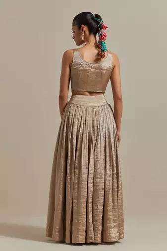 The Beige Zari Blouse With Gathered Skirt