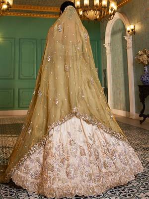 Cream colour tissue   with  Sequin & Thread embroidery Semi-Stitched Lehenga choli & Dupatta 3