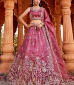 Pink Tissue Handwork cutdana embroidery Lehenga choli & Dupatta
