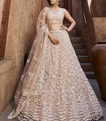 Nude Net  Sequin embroidery Semi-Stitched Lehenga choli & Dupatta