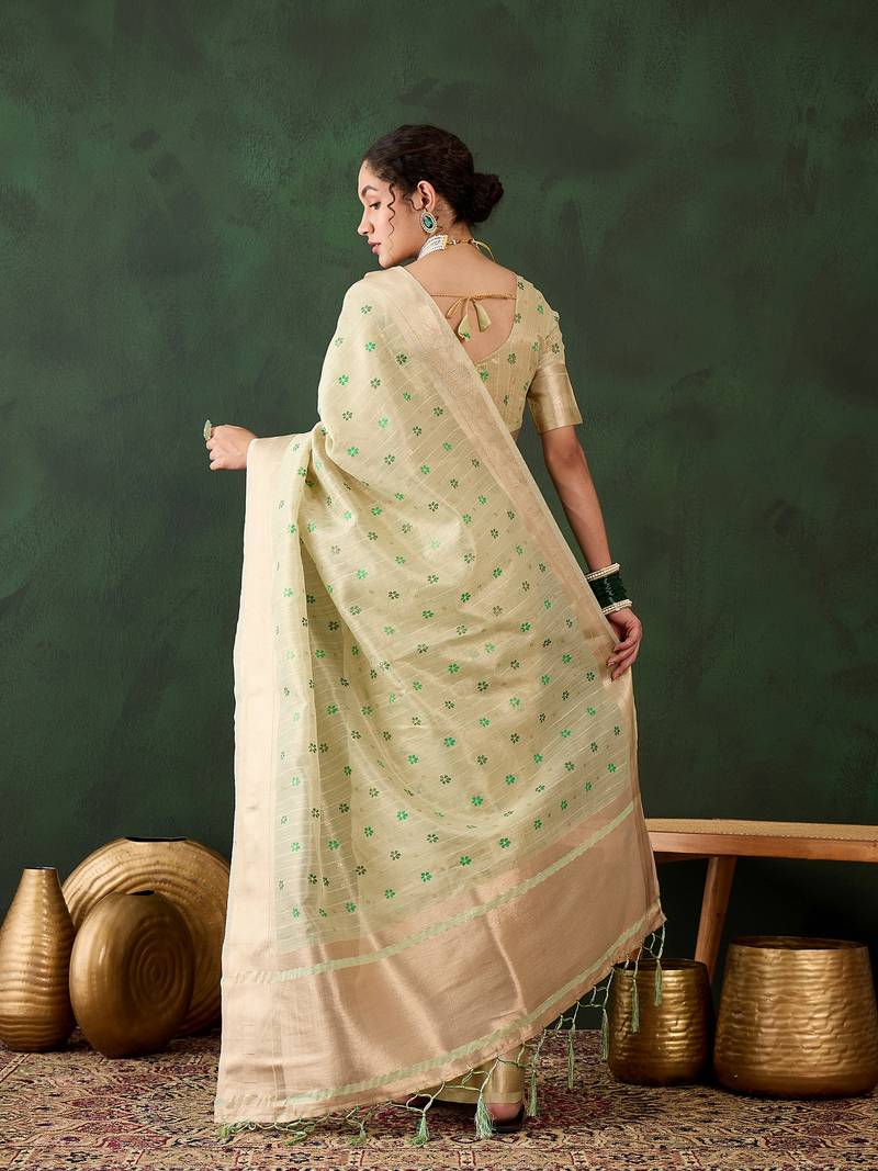 Green Khadi organza brush print saree