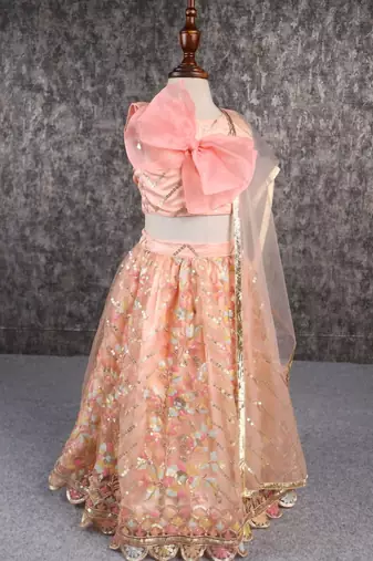 Classy multicoloured embroidered lehenga set