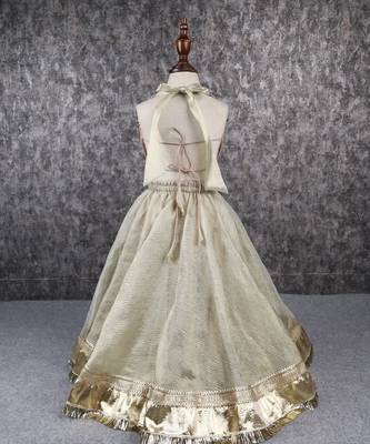 Halter neck stylish top and lehenga set 2