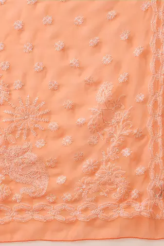 Hand embroidered rust georgette lucknowi chikankari saree with blouse