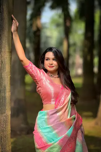 Soft silk blend saree with zari weaving meenakari saree & zari weaving contrast rich pallu with blouse piece
