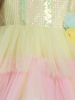 Lemonyellow sequins work net frock 5