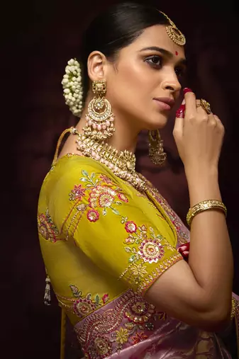 Onion Pink Pure Banarasi Kanjivaram Heavy Work Border Designer Saree