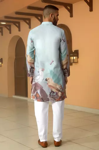 Animal printed blue mandarin collor cotton summer kurta