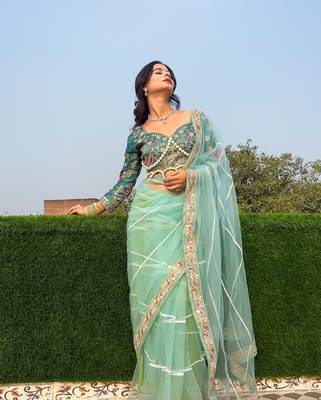 Pista butterflly net embroidery sequins hand diamond work lace border saree with unstitched blouse 1