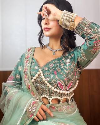 Pista butterflly net embroidery sequins hand diamond work lace border saree with unstitched blouse 3