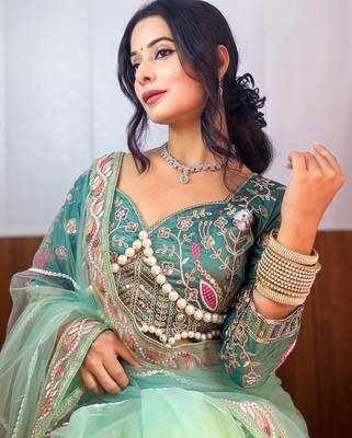 Pista butterflly net embroidery sequins hand diamond work lace border saree with unstitched blouse 4