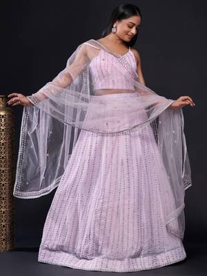 Blush Pink Embroidered Lehenga Set with Sheer Dupatta 4