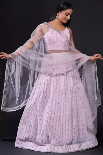 Blush Pink Embroidered Lehenga Set with Sheer Dupatta