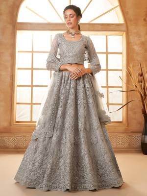 grey embroidered net lehenga set choli with dupatta 1