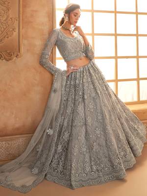 grey embroidered net lehenga set choli with dupatta 3