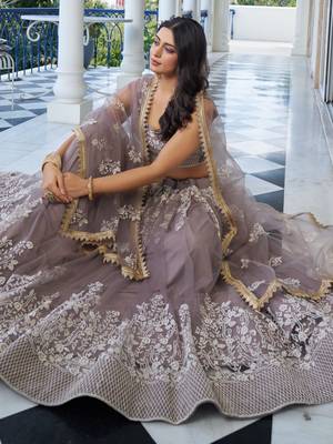 brown embroidered net lehenga set choli with dupatta 4