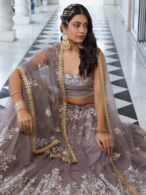 brown embroidered net lehenga set choli with dupatta 5
