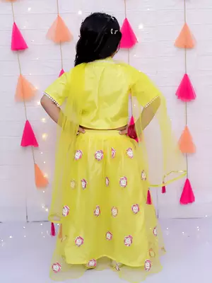 Kid1 rose bliss choli with sequins net lehenga and dupatta 2