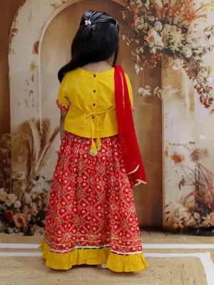 Pari Patola Lehenga Choli 2