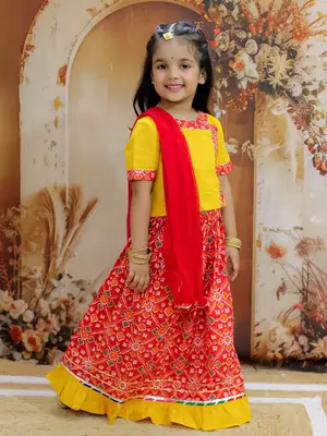 Pari Patola Lehenga Choli 3