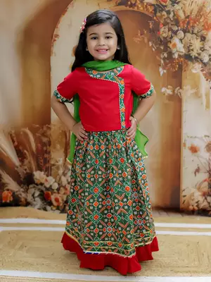 Pari Patola Lehenga Choli 1