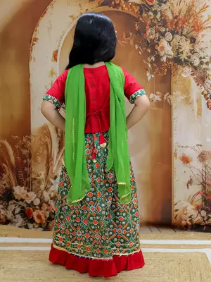 Pari Patola Lehenga Choli 2