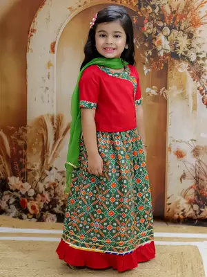 Pari Patola Lehenga Choli 3