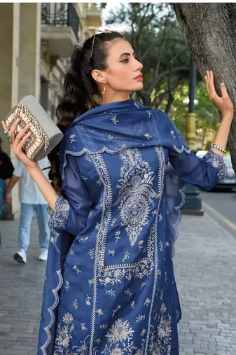 Bule embroidery sequins organza straight pant- free size stitched(size upto 42")