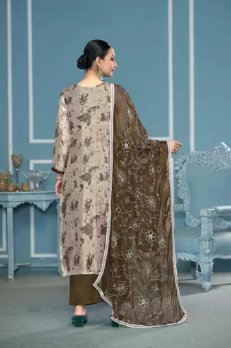 Grey organza banarasi fabric printed,hand work ethnic salwar suit