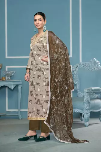 Grey organza banarasi fabric printed,hand work ethnic salwar suit