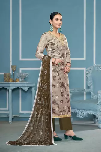 Grey organza banarasi fabric printed,hand work ethnic salwar suit