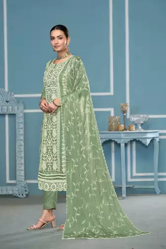 Green viscosee organza fabric embroidery work salwar kameez