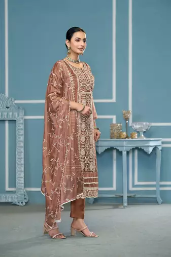 Brown viscosee organza fabric embroidery work salwar kameez