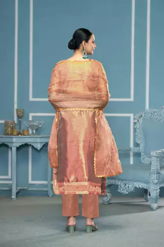 Peach viscosee organza fabric wevon , embroidery, hand work salwar kameez