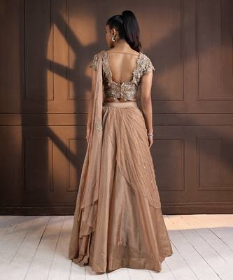 Golden Glow Embellished Lehenga Set 4