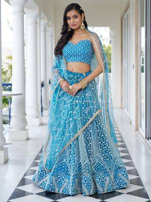 sky blue embroidered net lehenga set choli with dupatta 4