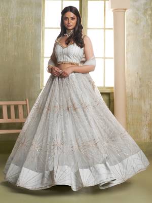 light grey sequins net lehenga set choli with dupatta 2