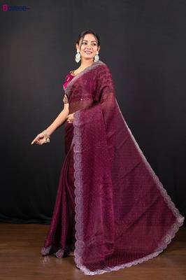 Wine jimmy choo saree with intricate silver embellishments and beautiful curve border 2