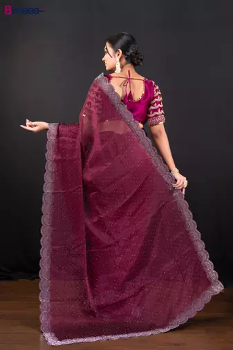 Wine jimmy choo saree with intricate silver embellishments and beautiful curve border