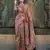 kashmiri Pashmina Organza weaving saree in chikoo