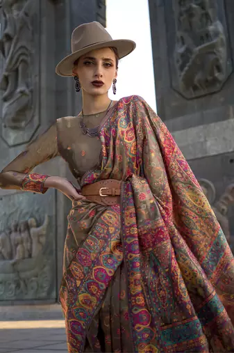 kashmiri Pashmina Organza weaving saree in chikoo