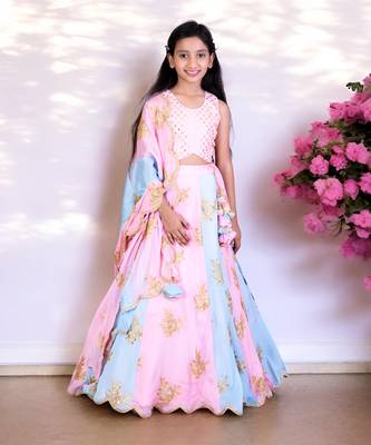 Pink & blue embroidered lehenga set 1