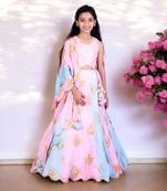 Pink & blue embroidered lehenga set