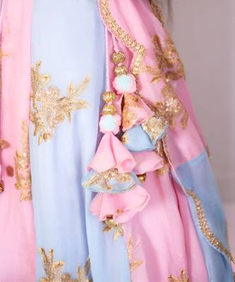 Pink & blue embroidered lehenga set 2