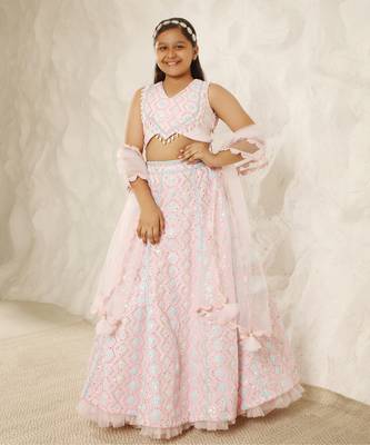 Baby pink embroidered choli eith lehenga 1