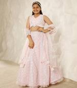 Baby pink embroidered choli eith lehenga
