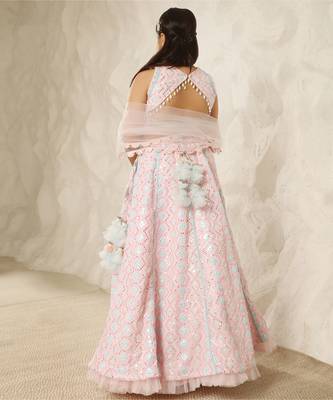 Baby pink embroidered choli eith lehenga 2