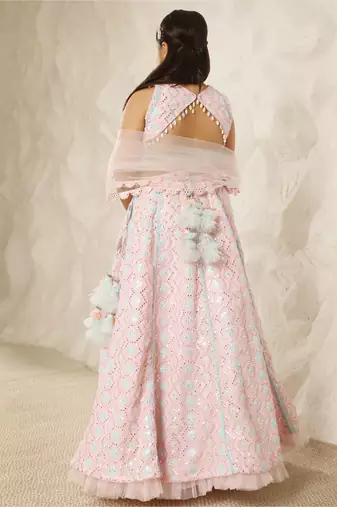 Baby pink embroidered choli eith lehenga