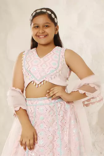 Baby pink embroidered choli eith lehenga